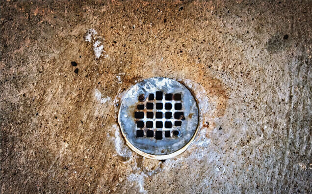 https://blockeddrainsnorthbeach.com.au/uploads/2025/07/blocked-shower-drains-20432.jpg