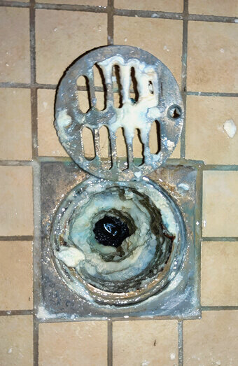 https://blockeddrainsnorthbeach.com.au/uploads/2025/07/blocked-shower-drains-86331.jpg
