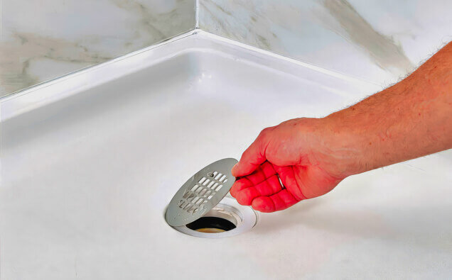 https://blockeddrainsnorthbeach.com.au/uploads/2025/07/blocked-shower-drains-90992.jpg