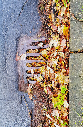 https://blockeddrainsnorthbeach.com.au/uploads/2025/07/stormwater-drains-48051.jpg